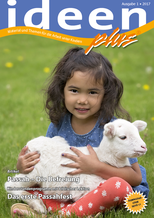 ip012017titelbild Ideenplus 01/2017 - Download