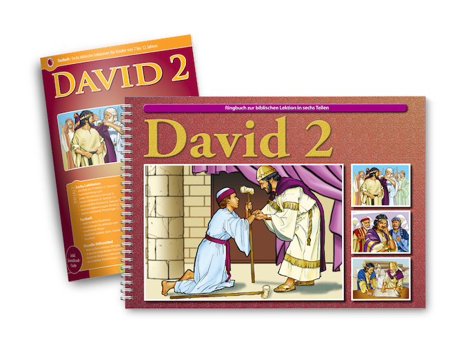 1117_1 David 2