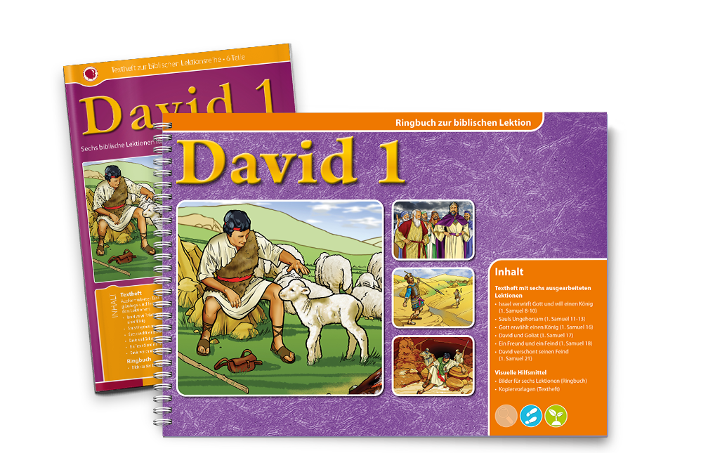 1107_RB-TH David 1